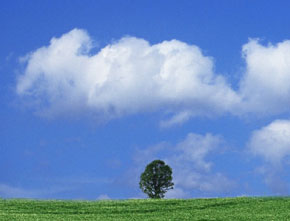 FOOTPRINT �����j���O�N���u�́A�����𒆐S�Ɋ�������}���\���T�[�N���ł��B